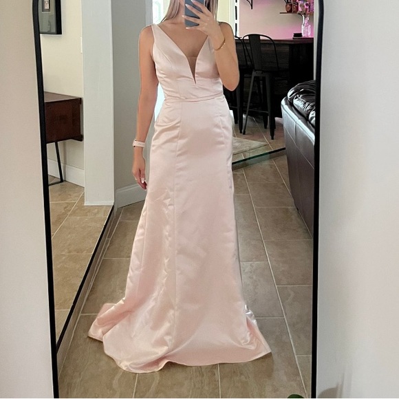 Sorella Vita Blush Pink Bridesmaid/Prom/Evening Dress - Picture 4 of 16